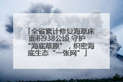全省累计修复海草床面积938公顷 守护“海底草原”，织密海底生态“一张网”